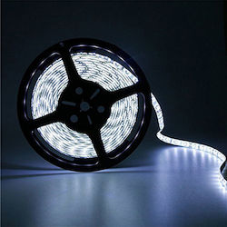Atman Ταινία LED 12V 5m Atman Ταινία LED 12V 5m