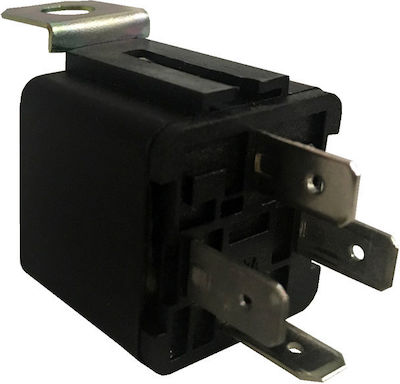 Auto Gs Car Relay 4 pin 12/24 30Ah