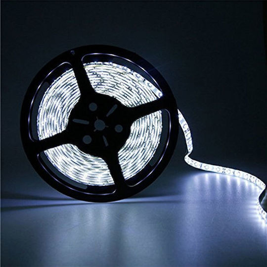 Atman Rezistent la apă Bandă LED 12V Alb Rece Lumină 5m Tip SMD3528