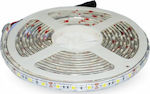 V-TAC Bandă LED Alimentare 12V cu Lumină Alb Natural Lungime 5m și 60 LED-uri pe Metru SMD5050
