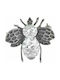 Γυναικεία καρφίτσα μελισσα με εντυπωσιακή πέτρα ζιργκόν