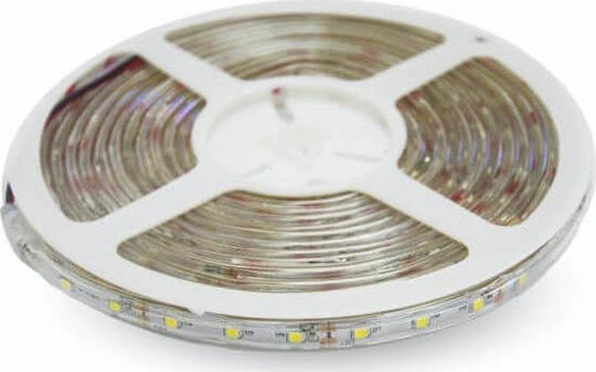 V-TAC Waterproof LED Strip 12V Green Light 5m Type SMD3528 with Power Supply
