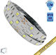GloboStar Ταινία LED 12V Ψυχρό Λευκό Φως 5m Τύπου SMD5050