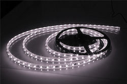 LED Strip Power Supply 12V with Warm White Light Length 5m and 60 LEDs per Meter SMD3528