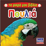 Πουλιά