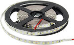 Optonica LED Strip Power Supply 24V with Cold White Light Length 5m and 120 LEDs per Meter SMD2835