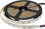 Optonica LED Streifen Versorgung 24V RGBWW Länge 5m und 60 LED pro Meter SMD5050