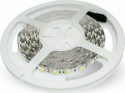 V-TAC LED Strip 12V Warm White Light 5m Type SM...