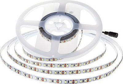 V-TAC Bandă LED Alimentare 12V cu Lumină Alb Rece Lungime 5m și 240 LED-uri pe Metru SMD2835
