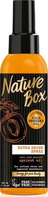 Nature Box Apricot Oil 150ml