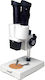 Levenhuk 2ST Stereo Educational Binocular Microscope 40x