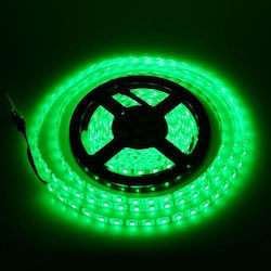 Wasserdicht LED Streifen Versorgung 12V mit Grün Licht Länge 5m und 60 LED pro Meter SMD5050