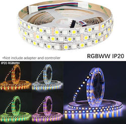 LED Strip Power Supply 12V RGBWW Length 5m and 96 LEDs per Meter SMD5050