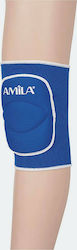 AMILA 83002 Adults Volleyball Knee Pads Blue Medium