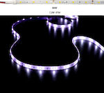 Adeleq Bandă LED Alimentare 12V RGB Lungime 5m și 30 LED-uri pe Metru SMD5050