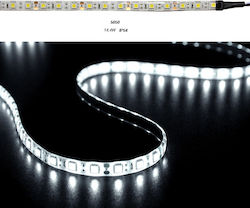 Adeleq Ταινία LED Τροφοδοσίας 12V με Ψυχρό Λευκό Φως Μήκους 5m και 60 LED ανά Μέτρο Τύπου SMD5050