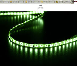 Adeleq Wasserdicht LED Streifen Versorgung 12V mit Grün Licht Länge 5m und 60 LED pro Meter SMD3528