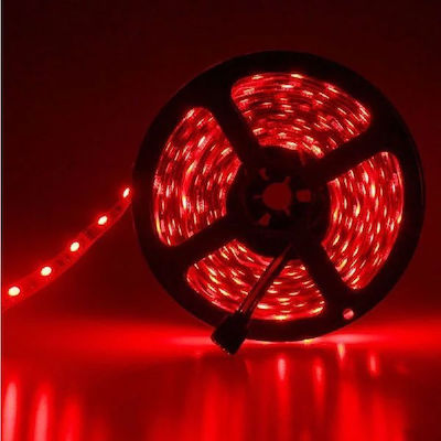 Adeleq LED Strip Power Supply 12V with Red Light Length 5m and 60 LEDs per Meter SMD3014