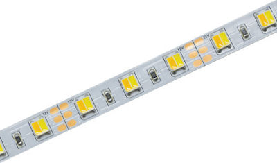 Aca Αδιάβροχη Ταινία LED Τροφοδοσίας 12V με Ρυθμιζόμενο Λευκό Φως Μήκους 5m και 60 LED ανά Μέτρο Τύπου SMD5025