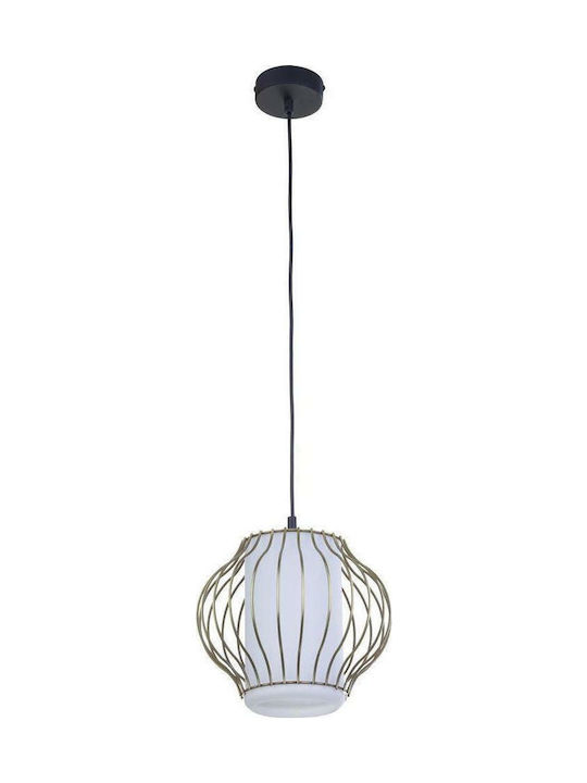 TK Lighting Rosso Pendant Light Transparent wit...