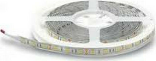Lucas Bandă LED 12V Alb Cald Lumină 5m Tip SMD5050