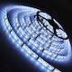 Lucas Ταινία LED 12V Ψυχρό Λευκό Φως 5m Τύπου SMD5050