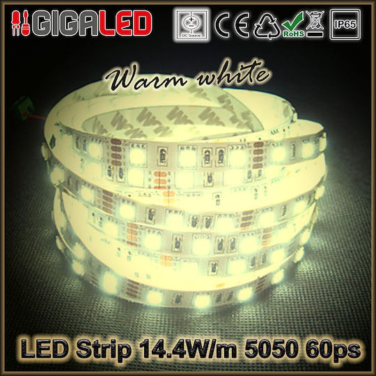Atman Αδιάβροχη Ταινία LED 12V Θερμό Λευκό Φως 1m Τύπου SMD5050