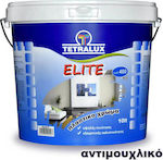 Tetralux Elite Plastic Vopsea Antimucegai pentru Utilizare Intern 10lt