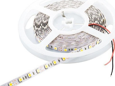 Cubalux Bandă LED Alimentare 12V cu Lumină Alb Rece Lungime 5m și 60 LED-uri pe Metru SMD2835