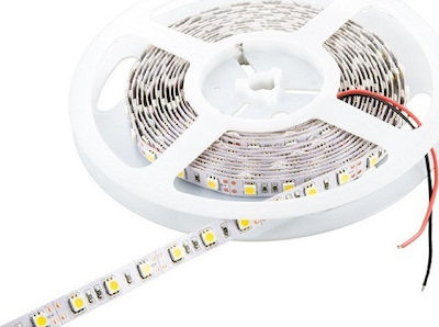 Cubalux Bandă LED Alimentare 12V cu Lumină Alb Natural Lungime 5m și 60 LED-uri pe Metru SMD2835