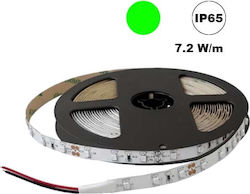 Cubalux Waterproof LED Strip Power Supply 12V with Green Light Length 5m and 30 LEDs per Meter SMD5050