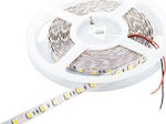 Cubalux Bandă LED Alimentare 24V cu Lumină Alb Cald Lungime 5m și 60 LED-uri pe Metru SMD2835