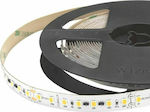 Cubalux Bandă LED Alimentare 24V RGB Lungime 5m și 60 LED-uri pe Metru SMD5050