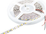 Cubalux Bandă LED Alimentare 24V cu Lumină Alb Natural Lungime 5m și 96 LED-uri pe Metru SMD2835