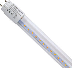 GloboStar Becuri LED Tip Fluorescent 60cm pentru Soclu G13 și Formă T8 Roz 1000lm 1buc