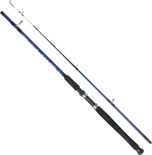 Sim Engineering Sea Lion Fishing Rod for Vertical Fishing 2.10m 100-350gr