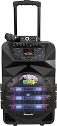 Sistem Karaoke cu Microfon Fără Fir Meirende K5-12 în Culoare Negru