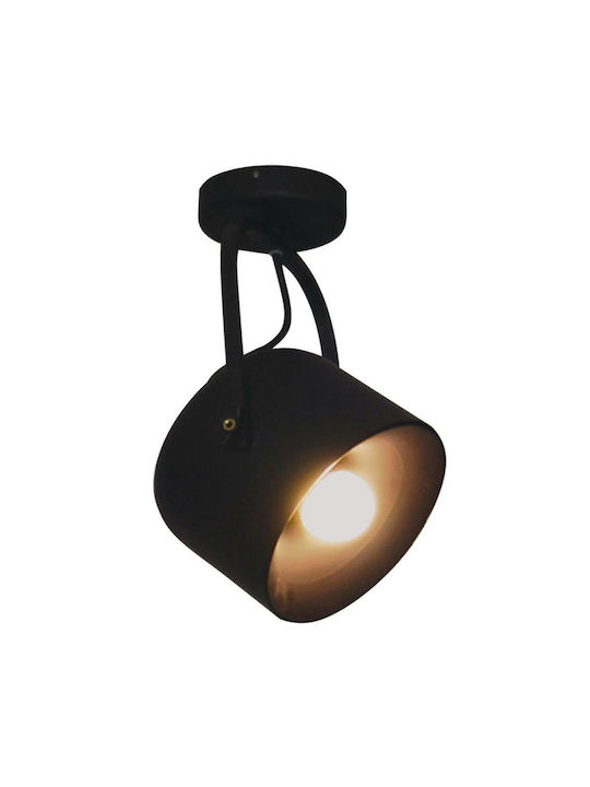 Home Lighting Archie Single Spot with Socket E2...