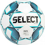 Select Sport Team IMS 10570 2019 Soccer Ball Multicolour