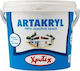 CHrotech Artakryl Plastic Acrilyc Paint for Exterior Use White 750ml