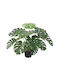 Artekko Artificial Plant in Pot Monstera Green 60cm 1pcs 6-0218