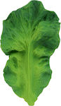 Oli&Carol Kendall the Kale Teether made of Rubber for 3 m+ 1pcs