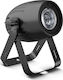 Cameo Προβολέας Spot LED Q-Spot 40 RGBW Black RGBW