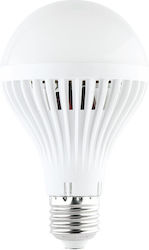 Diolamp LED Bulb E27 A70 Warm White 600lm