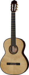 Amalio Burguet 1DV Spruce Classical Guitar 4/4 Natural