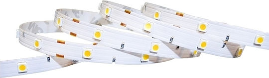 Optonica LED-Streifen 12V Natürliches Weiß Licht 5m Typ SMD5050