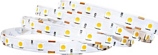 Optonica LED Strip 12V Cold White Light 5m Type SMD5050
