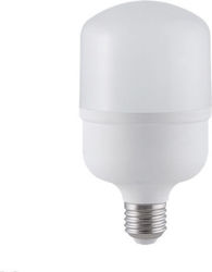 Elmark LED Lampen für Fassung E27 Naturweiß 4500lm 1Stück