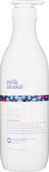 Milk Shake Shine Shampoos Color Maintenance for Coloured Hair 1x0ml