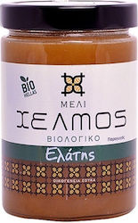 Χελμός Produs organic Miere Brad 450gr 1buc